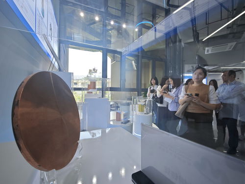 從實驗室樣品到市場爆品 松山湖材料實驗室如何“孵化”35家產業化公司